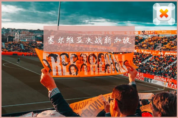 塞尔维亚决战新加坡