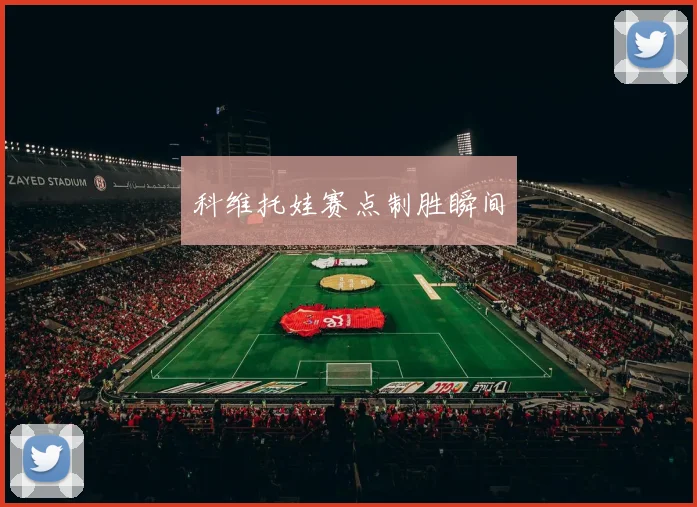 科维托娃赛点制胜瞬间