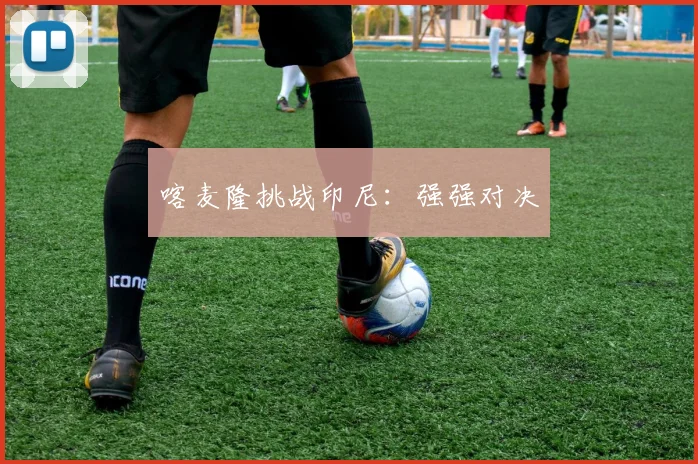喀麦隆挑战印尼：强强对决