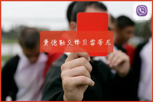 费德勒交锋贝雷蒂尼