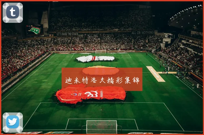 迪米特洛夫精彩集锦