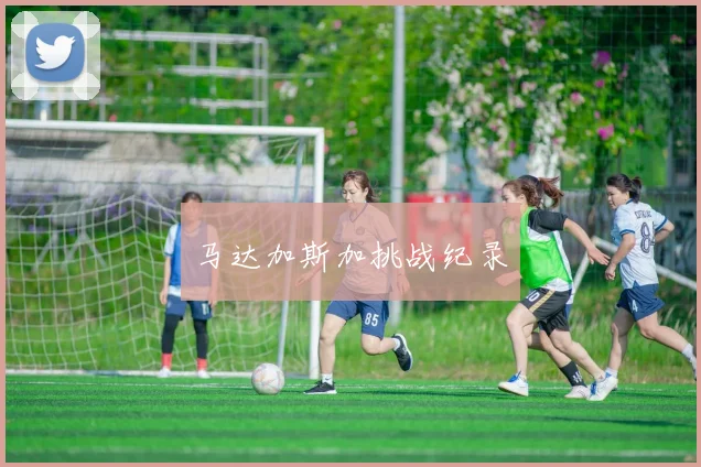 马达加斯加挑战纪录