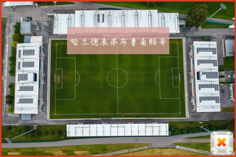 哈兰德表弟布鲁南赔率