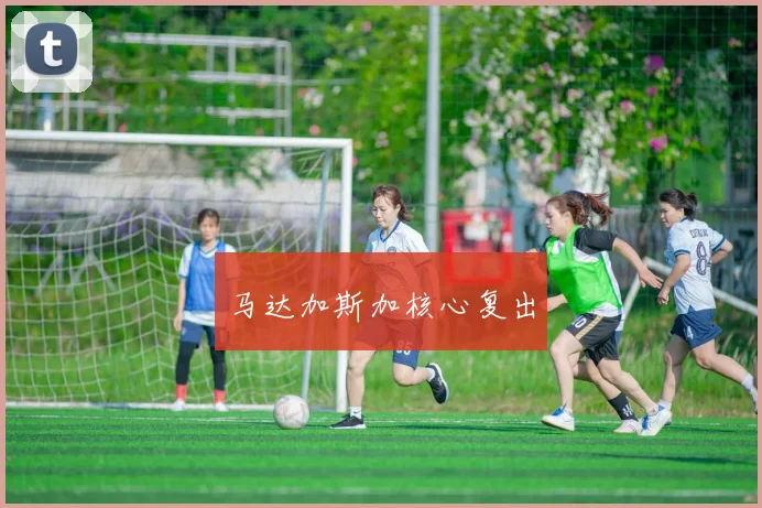 马达加斯加核心复出