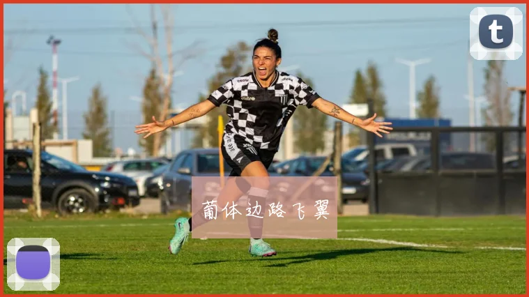 葡体边路飞翼