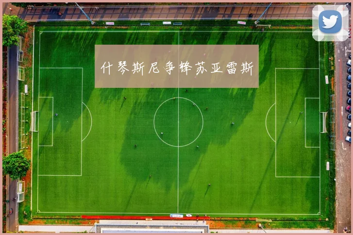 什琴斯尼争锋苏亚雷斯