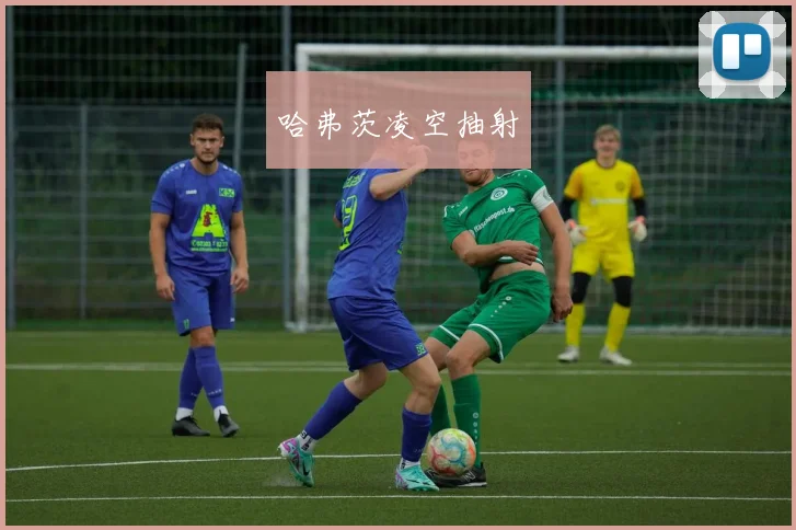 哈弗茨凌空抽射