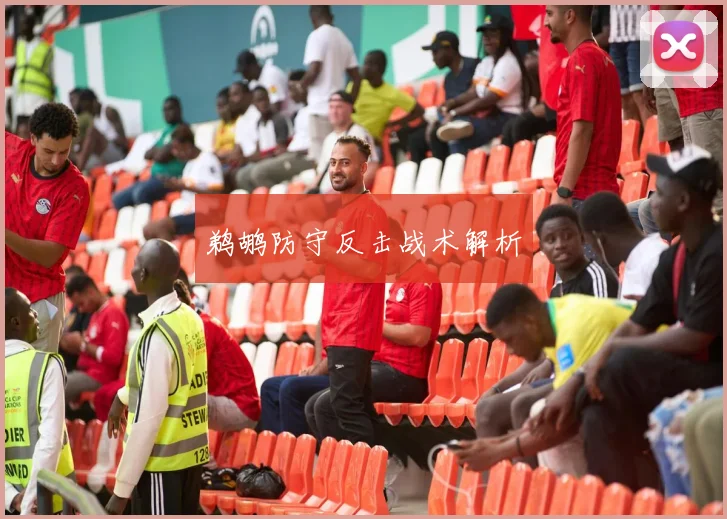 鹈鹕防守反击战术解析