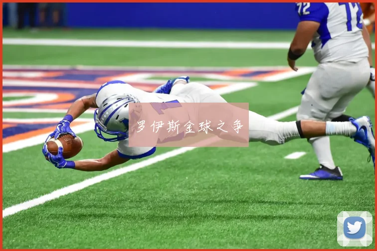 罗伊斯金球之争