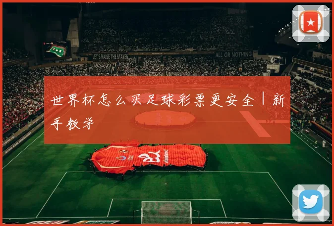 世界杯怎么买足球彩票更安全｜新手教学