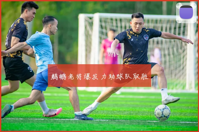鹈鹕老将爆发力助球队取胜