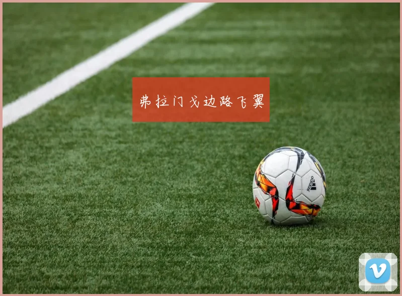 弗拉门戈边路飞翼
