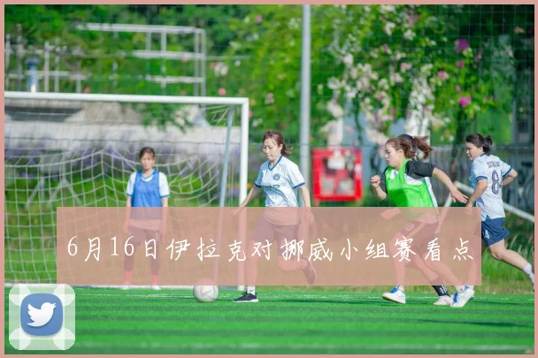 6月16日伊拉克对挪威小组赛看点